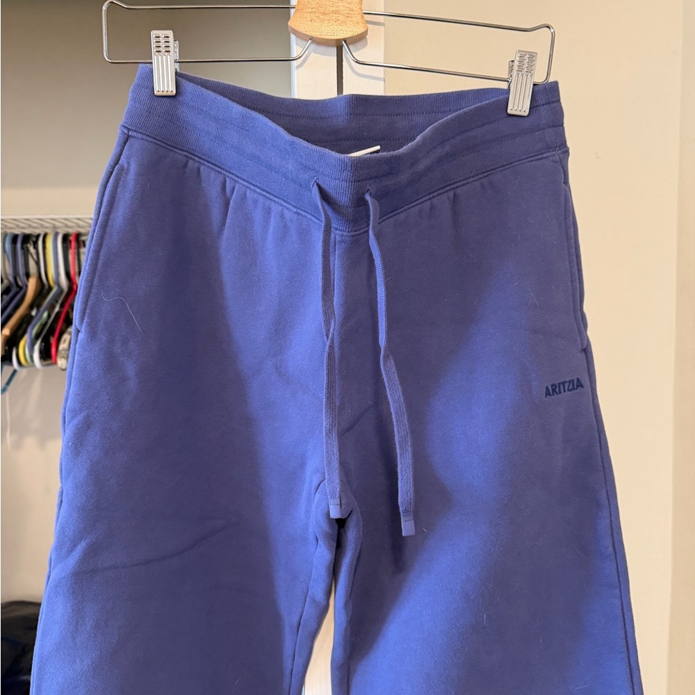 Aritzia Perfect Banded Wide Leg Sweatpant